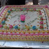 Naga Chaitanya Birthday Celebration - Pictures | Picture 129515